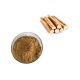 free sample natural dried burdock root extract powder manufacturer